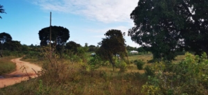 Plot, Apartment Or House For Sale, Rent At Kigamboni